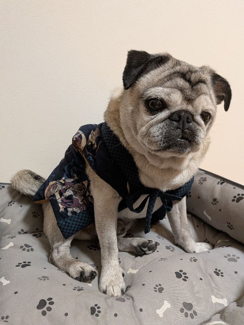 りんね様確認ページ