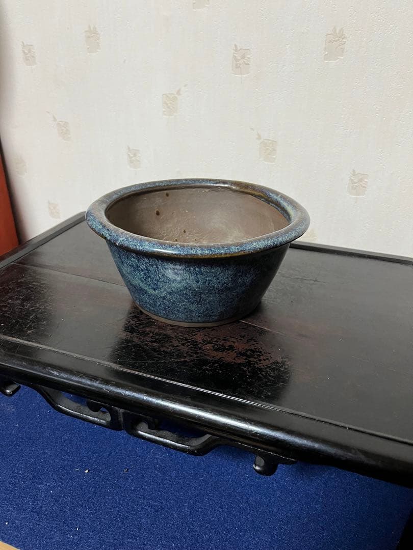 183 盆栽　盆栽鉢　植木鉢　中国鉢　海鼠　ナマコ