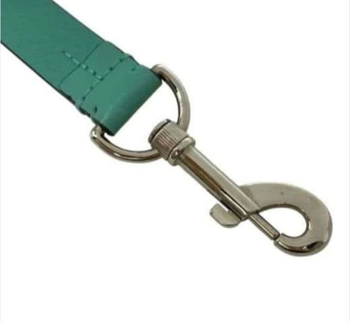 ティファニー レザー リード 犬用ティファニーブルー TIFFANY&Co.