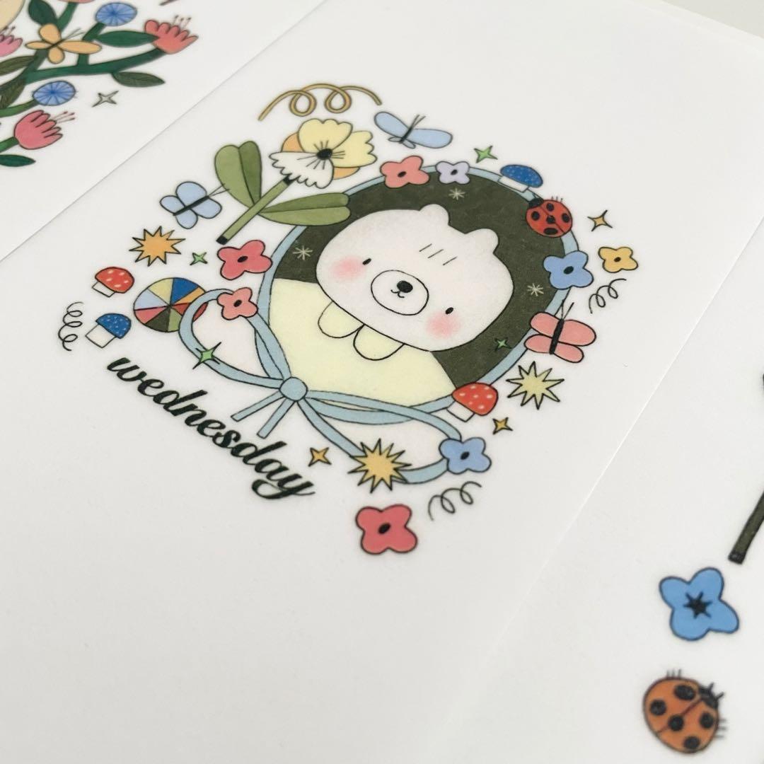 早い者勝ち　韓国　貯金　アクリル　バインダー　リフィル　曜日　イラスト　ブルー