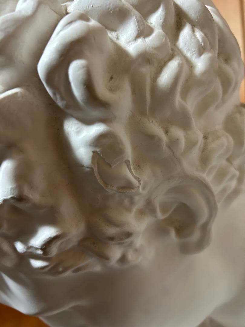 ヘルメス石膏、美術、美大