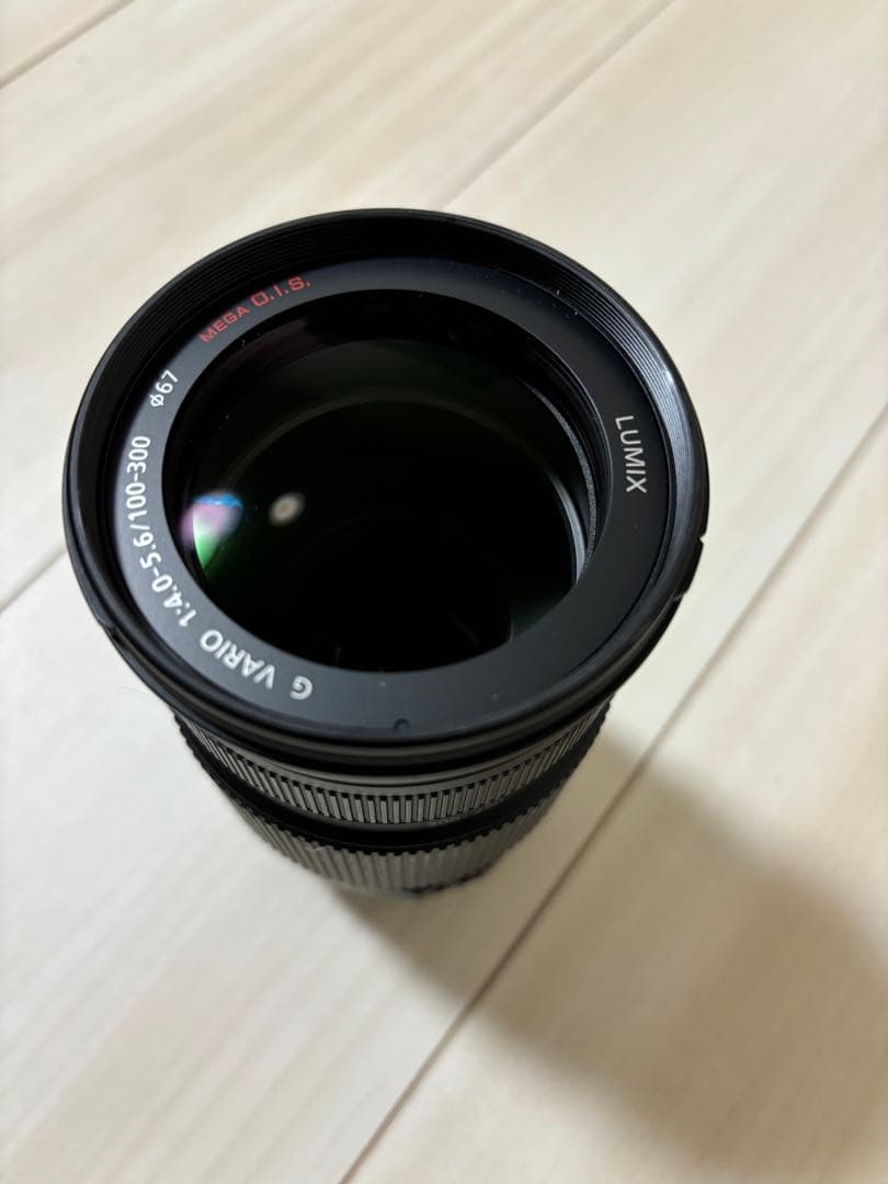 LUMIX G VARIO 100-300mm F4.0-5.6 ズームレンズ