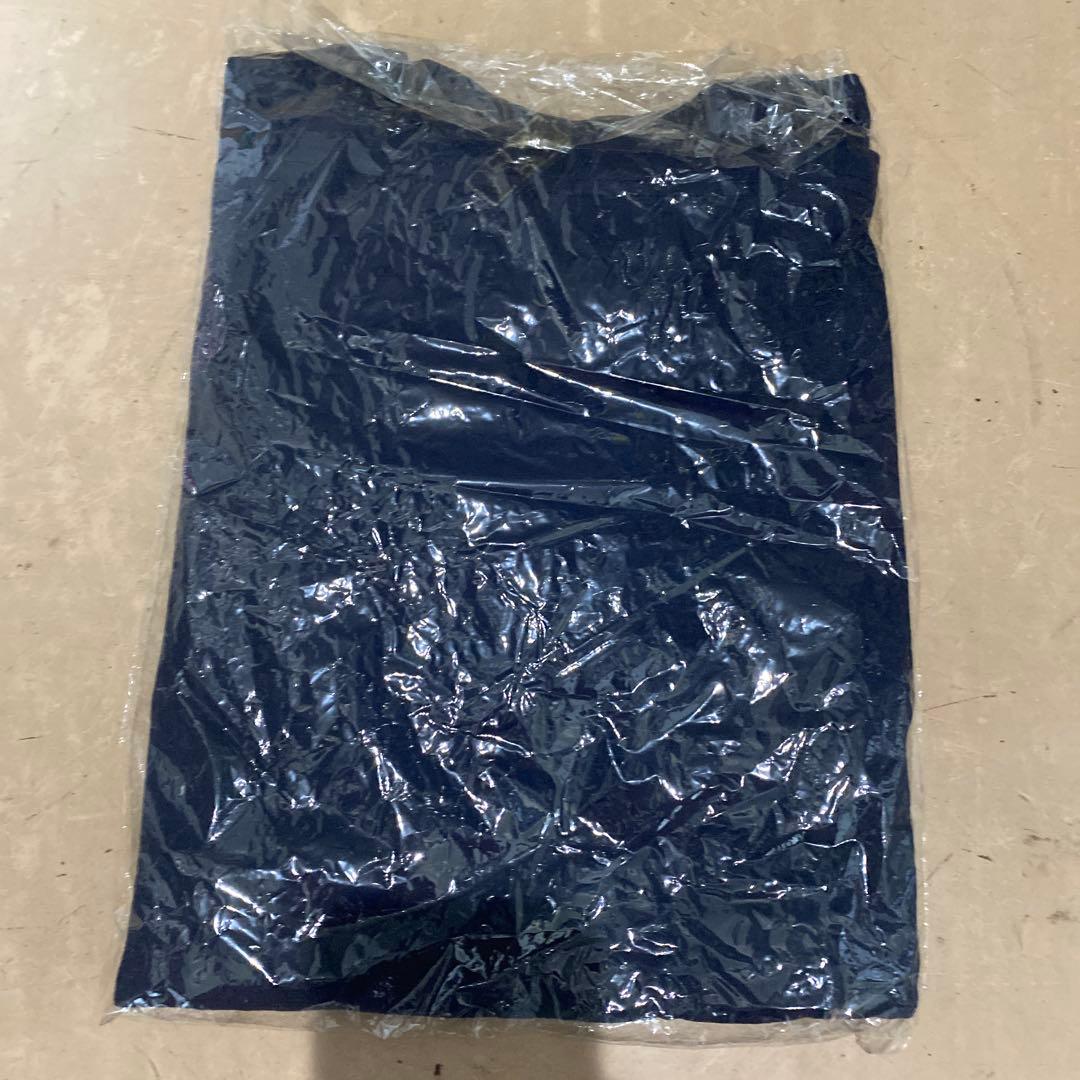 ピエール学園　ピエール瀧　Tシャツ　電気GROOVE 新品未開封