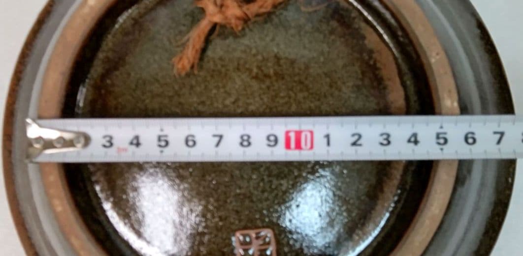 魚紋の大皿 金城敏昭作