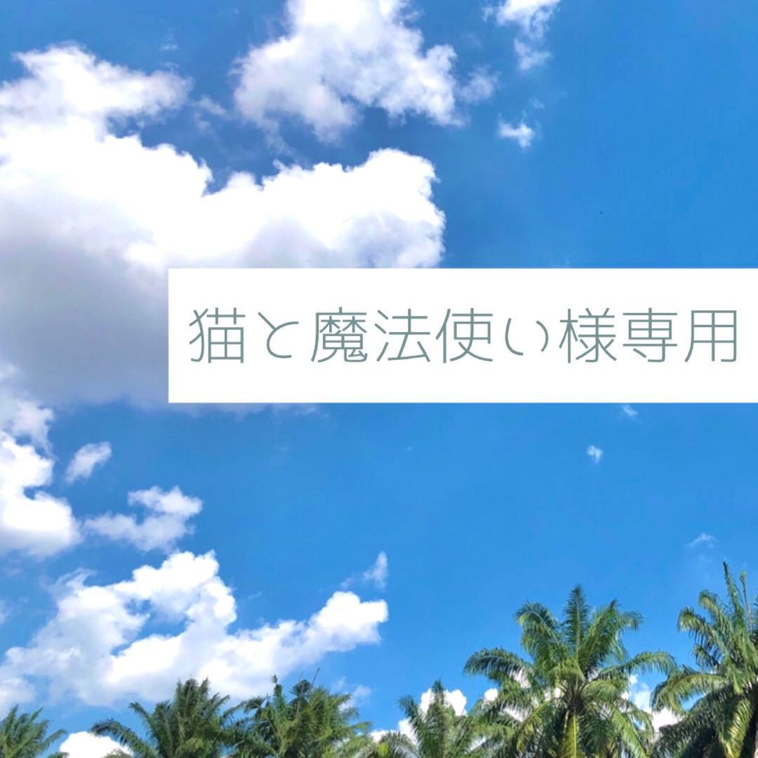 猫と魔法使いページ