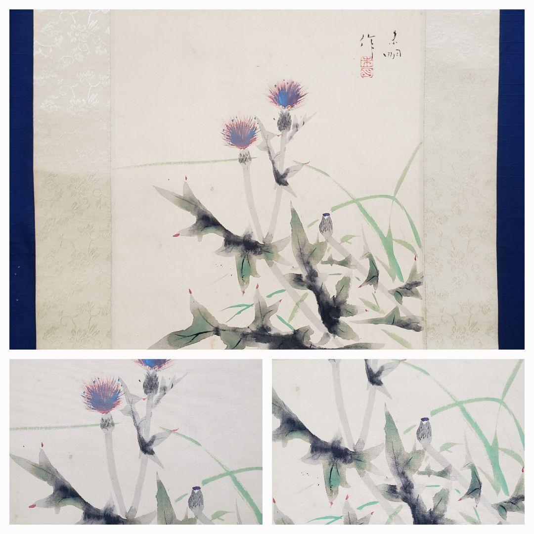 【あざみ図】結城素明 2574 アザミ 初夏　掛け軸　肉筆