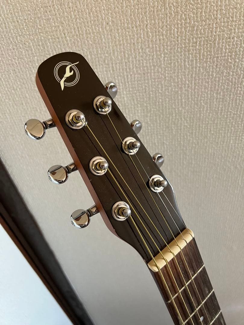 Seagull S6 + Cedar GT アコースティックギター