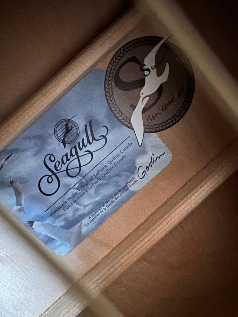 Seagull S6 + Cedar GT アコースティックギター