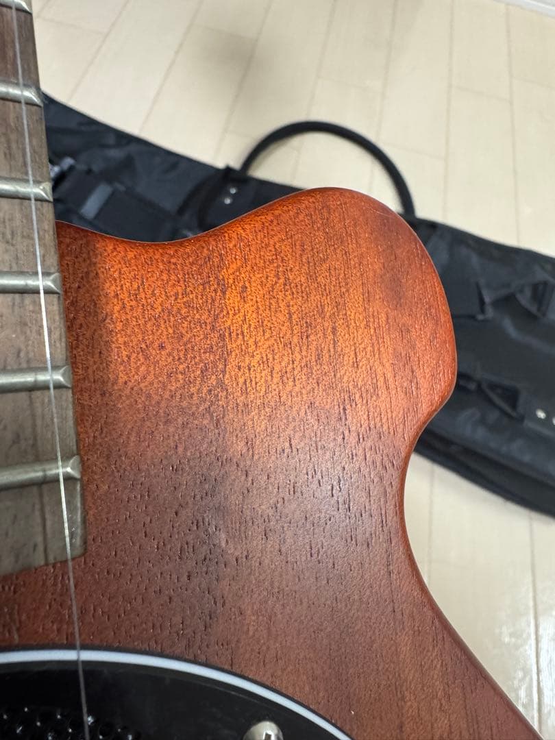 ピグノーズ　PGG-200MH PIGNOSE