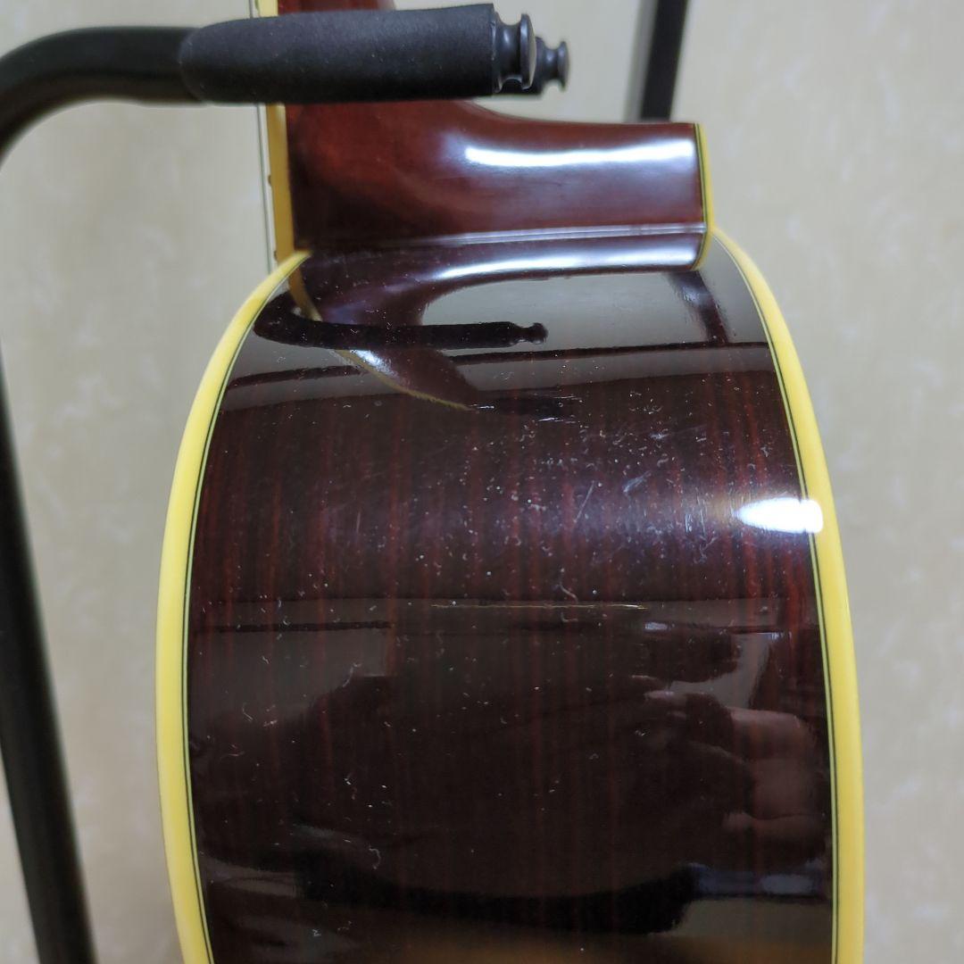 Morris アコースティックギター ドレッドノート エレア