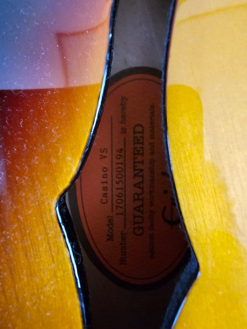 epiphone casino ハードケース付き