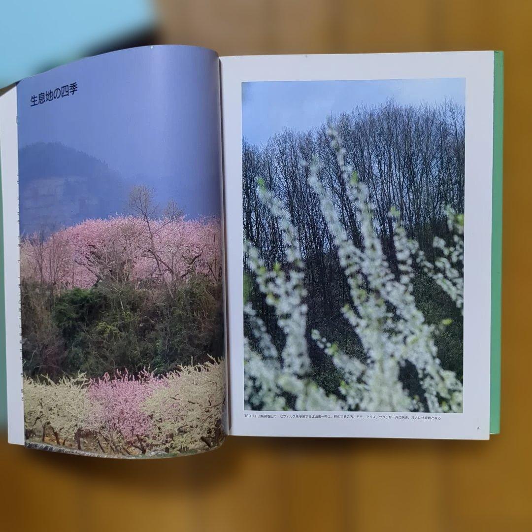 大倉舜二　ゼフィルス 24