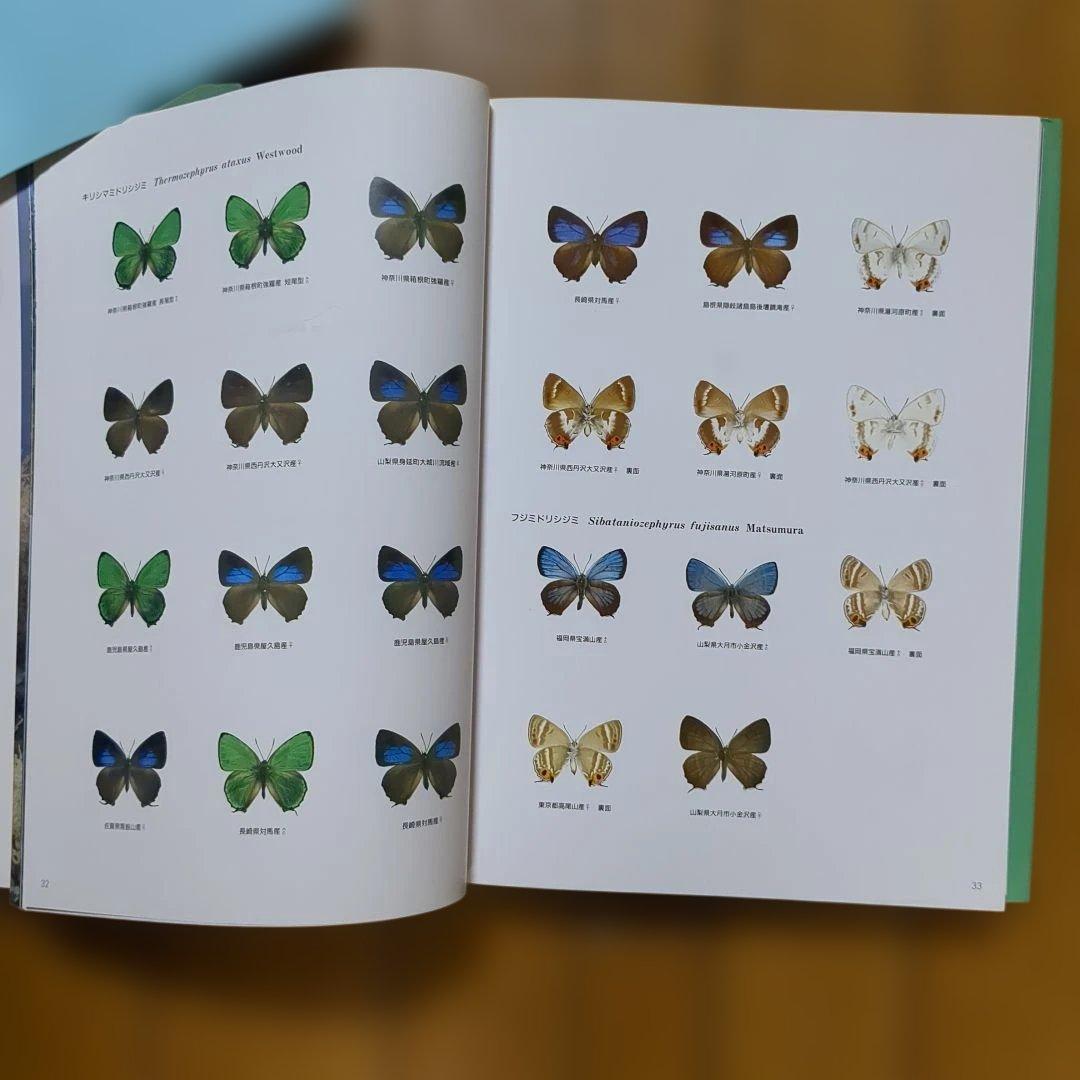 大倉舜二　ゼフィルス 24