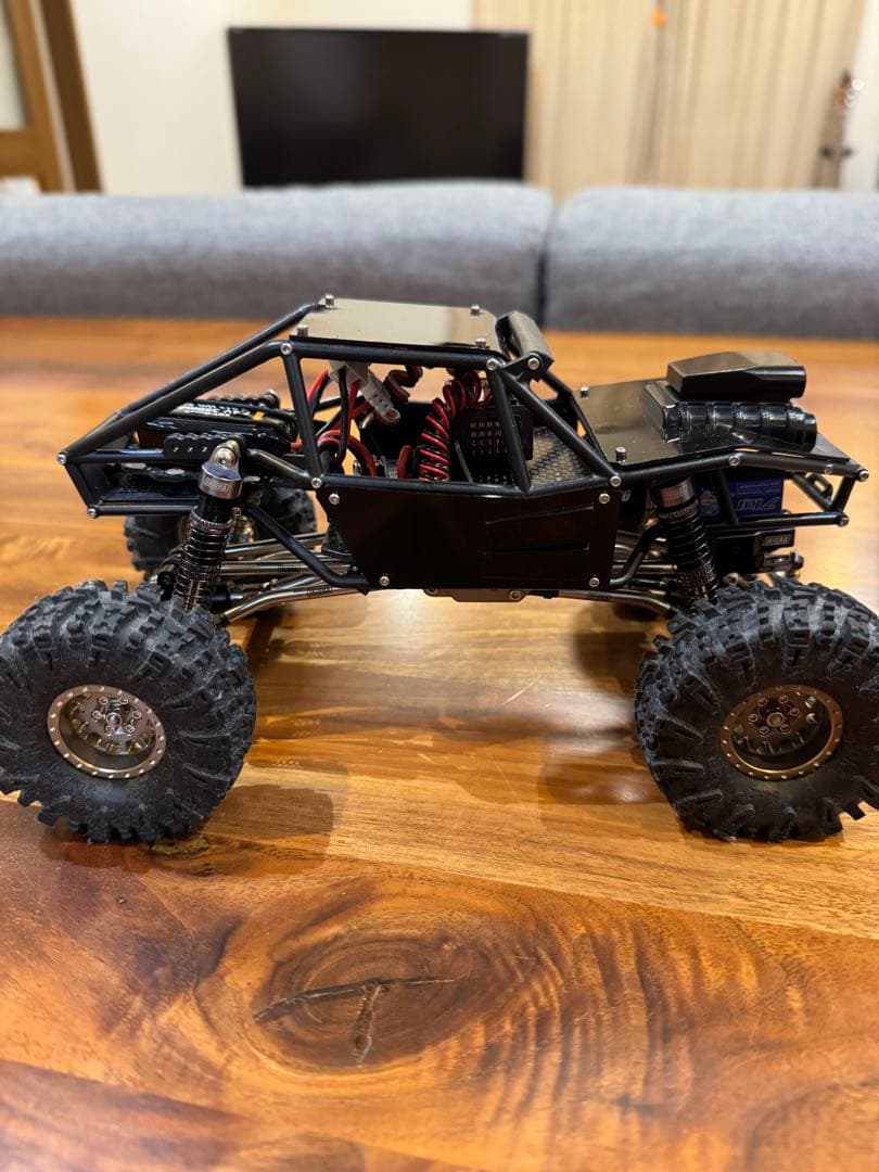 Traxxas TRX4M INJORA ロックタランチュラ　トラクサス1/18
