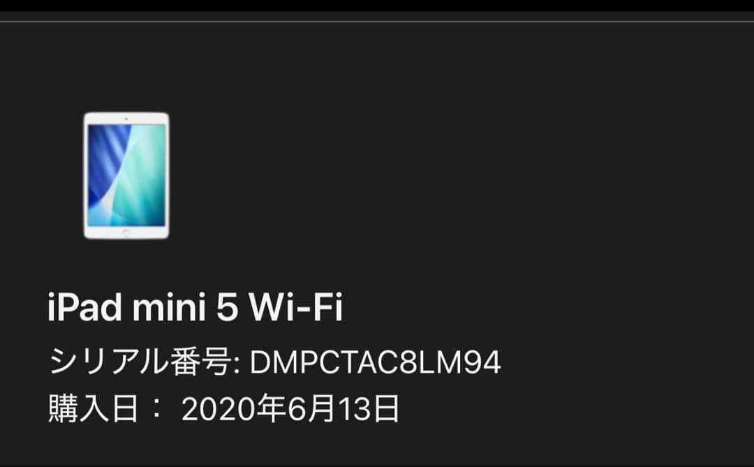 iPad mini 5 Wi-Fiモデル 64GB