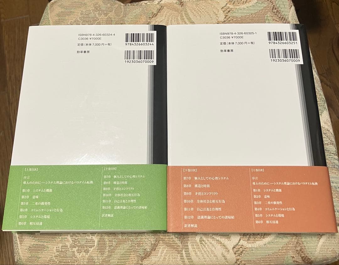 Has-A　社会システム 或る普遍的理論の要綱 上下セット