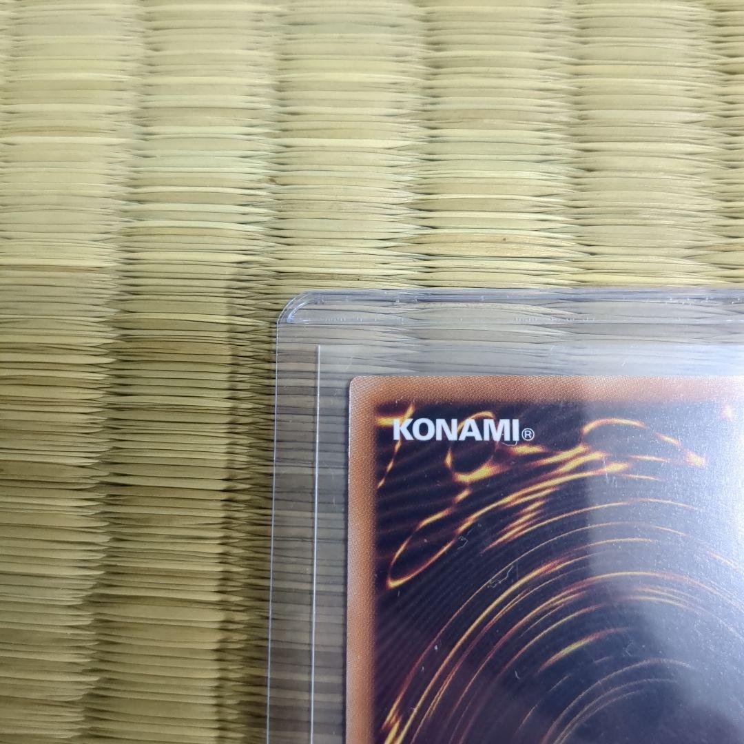 ドラゴンメイド・パルラ　25th 傷無し美品