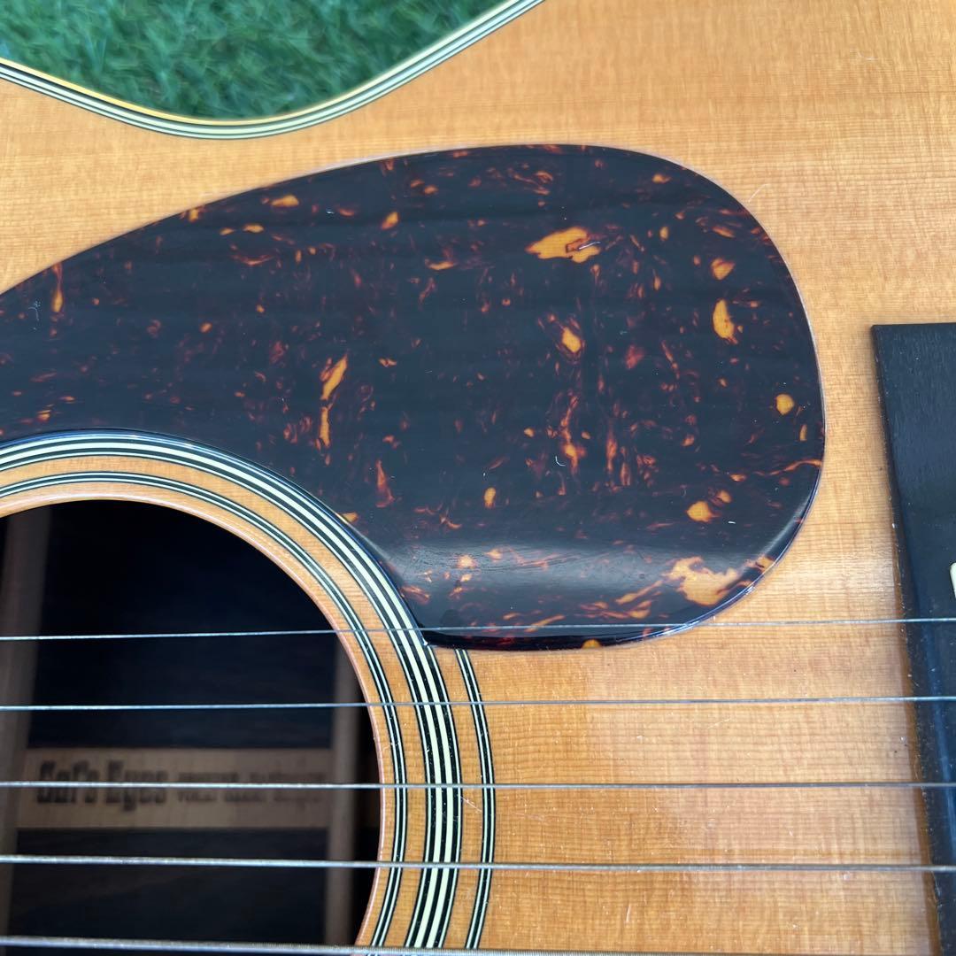 希少TOKAI GAKKI CatsEyes CE-800T 1212680