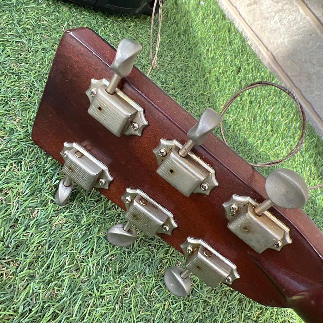 希少TOKAI GAKKI CatsEyes CE-800T 1212680