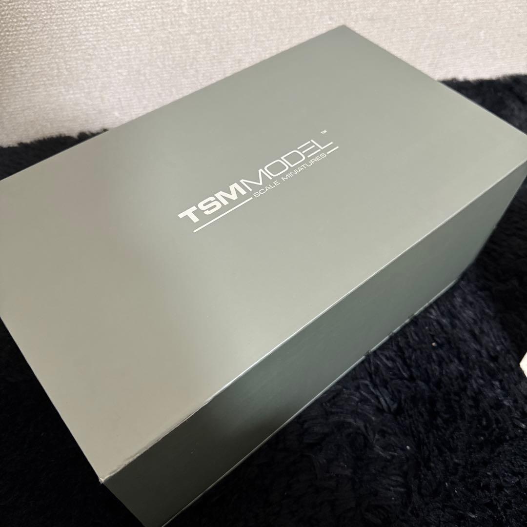 レア! TSM MODEL 1/18 Honda NpX GT2 #85