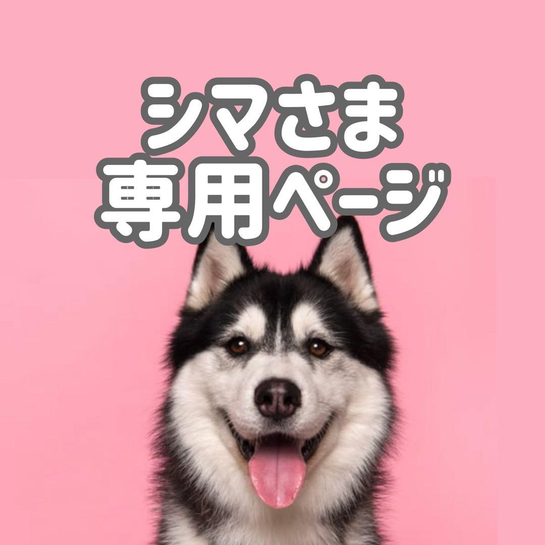 Aチ中15中◯●ページ●◯