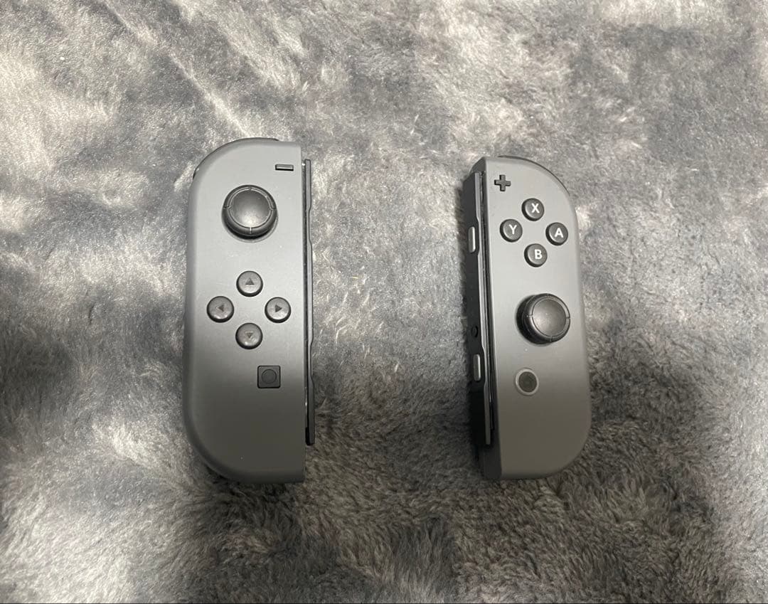 Nintendo Switch 本体 グレー (美品)プロコン付き