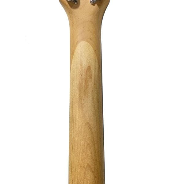 Pignose ピグノーズ アンプ内蔵ミニギター エレキギター ブラック