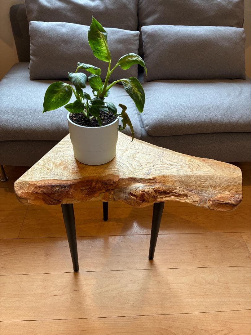 国産無垢一枚板サイドテーブル｜ブラックアイアン｜一点もの