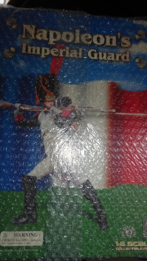 IGNITE 1/6スケール コレクタブルアイテム ナポレオンの近衛兵