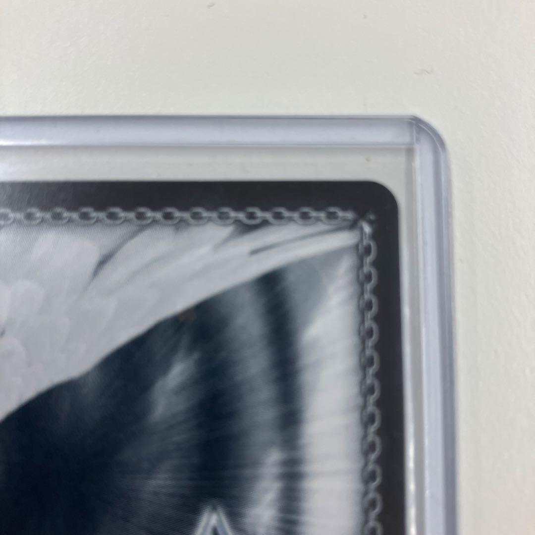 時々ボソッとロシア語でデレる隣のアーリャさん PR+ ヴァイスシュヴァルツ