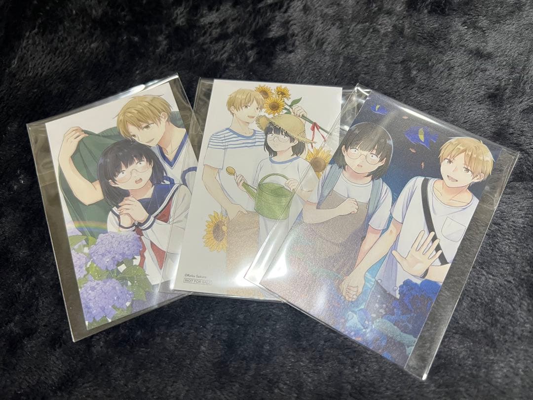 ブスに花束を　全13巻　超美品　全巻　おまけつき