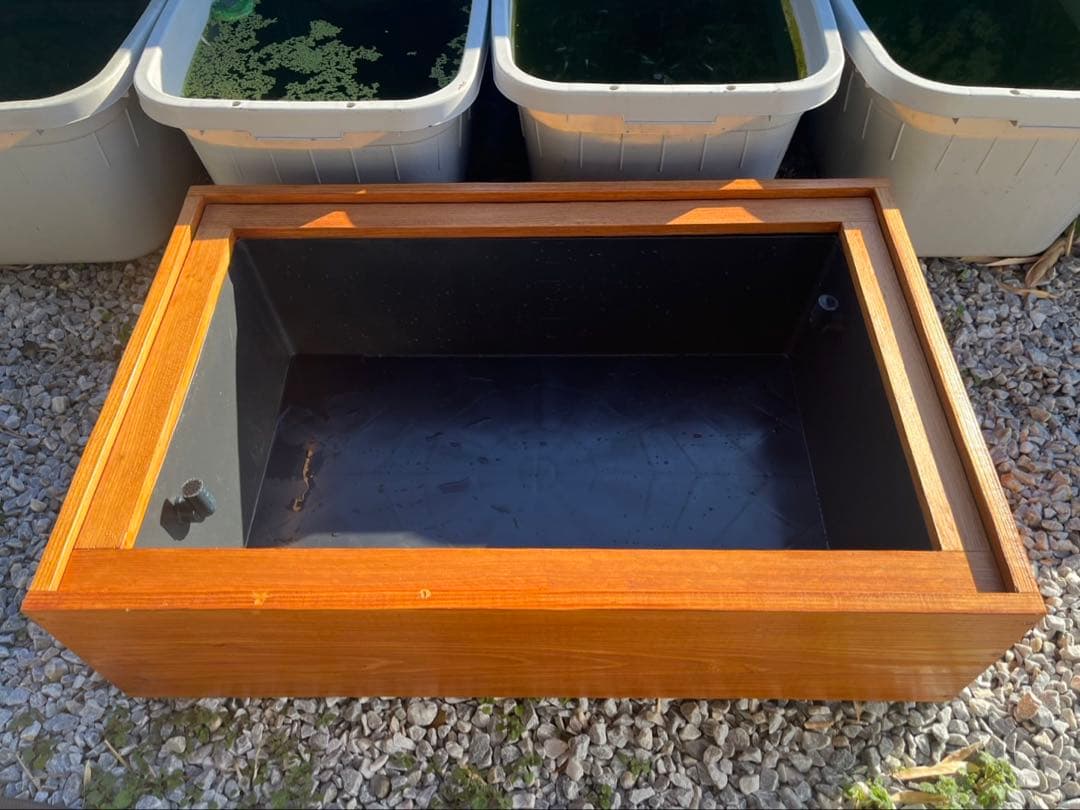 在庫限り⭐️【新品】60Lトロ舟と木枠のセット　めだか飼育ケース　ビオトープ