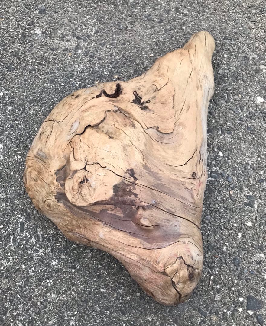 30年前に拾って乾燥させてあった流木