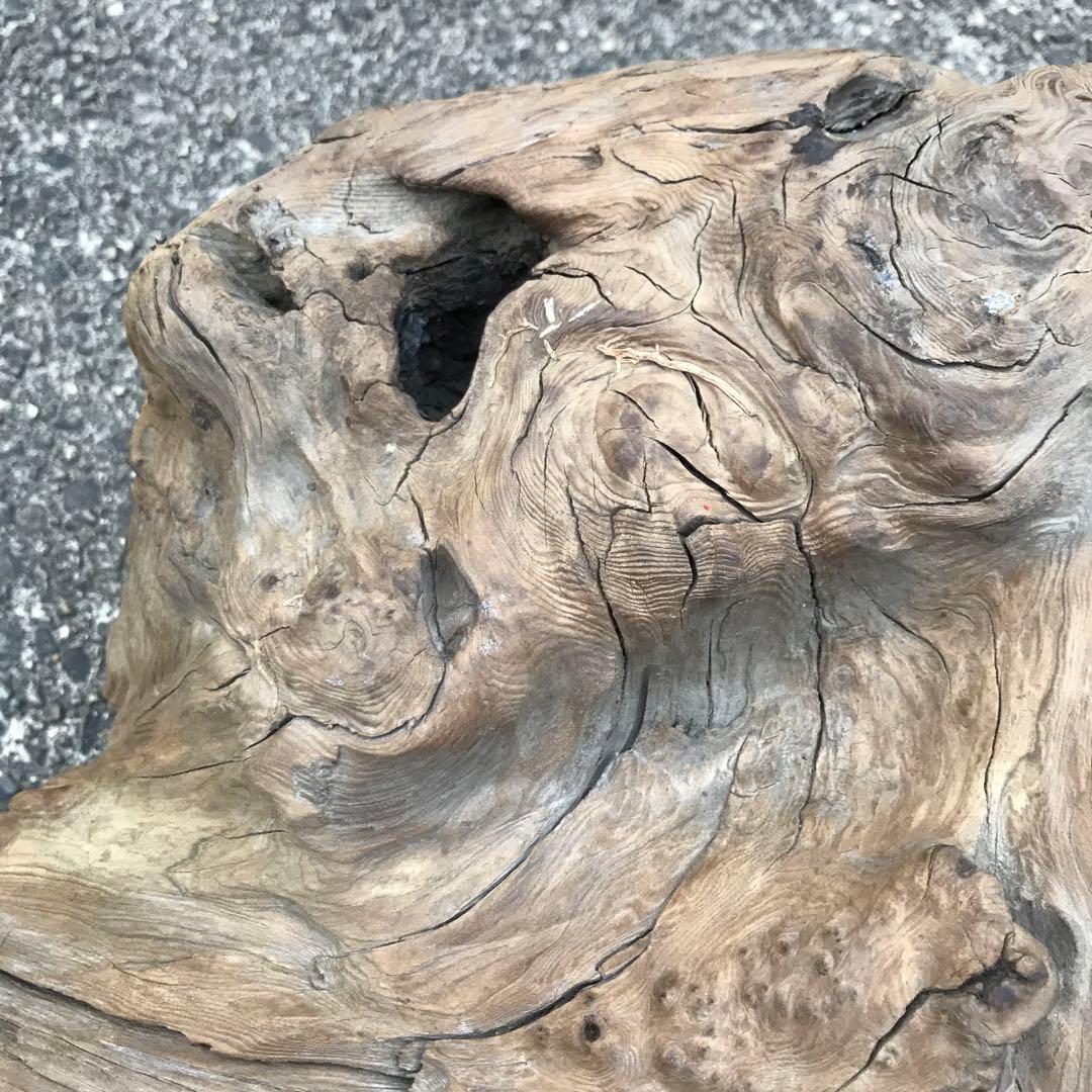 30年前に拾って乾燥させてあった流木