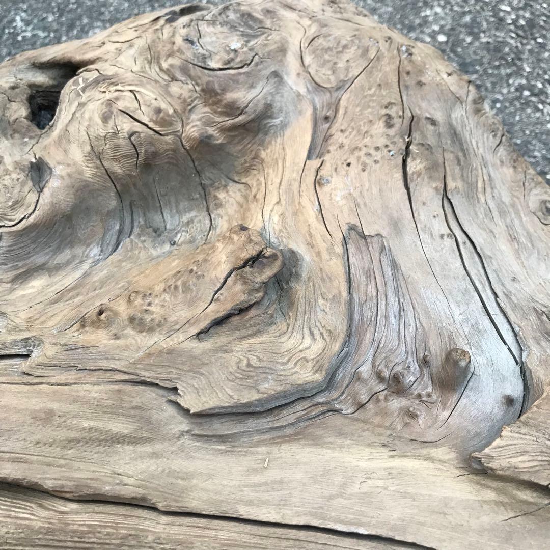 30年前に拾って乾燥させてあった流木