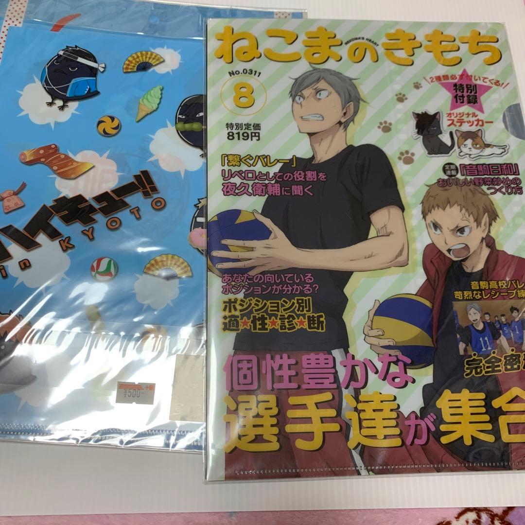ハイキュー クリアファイル レア 限定品 月島蛍 影山飛雄 菅原孝支 孤爪研磨