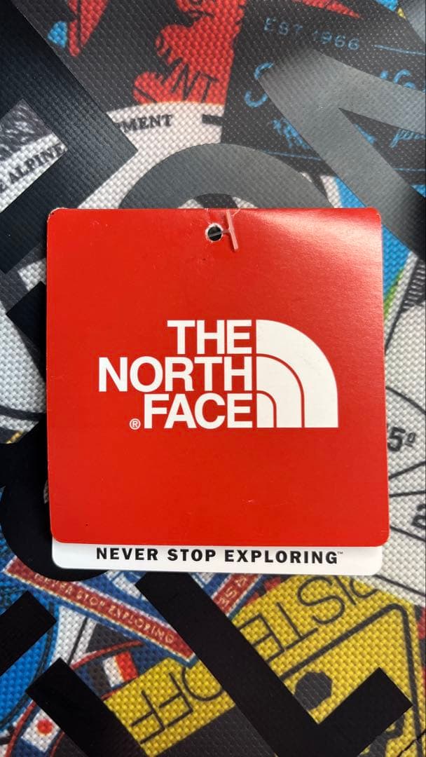 【極美品・廃盤】THE NORTH FACE ステッカープリントヒューズボックス