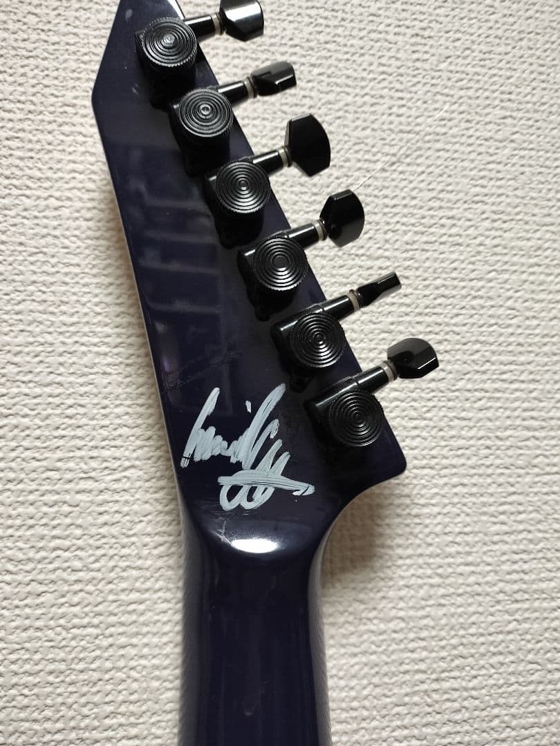 Grassroots エレキギター flyingV DIMARZIO　ロックペグ