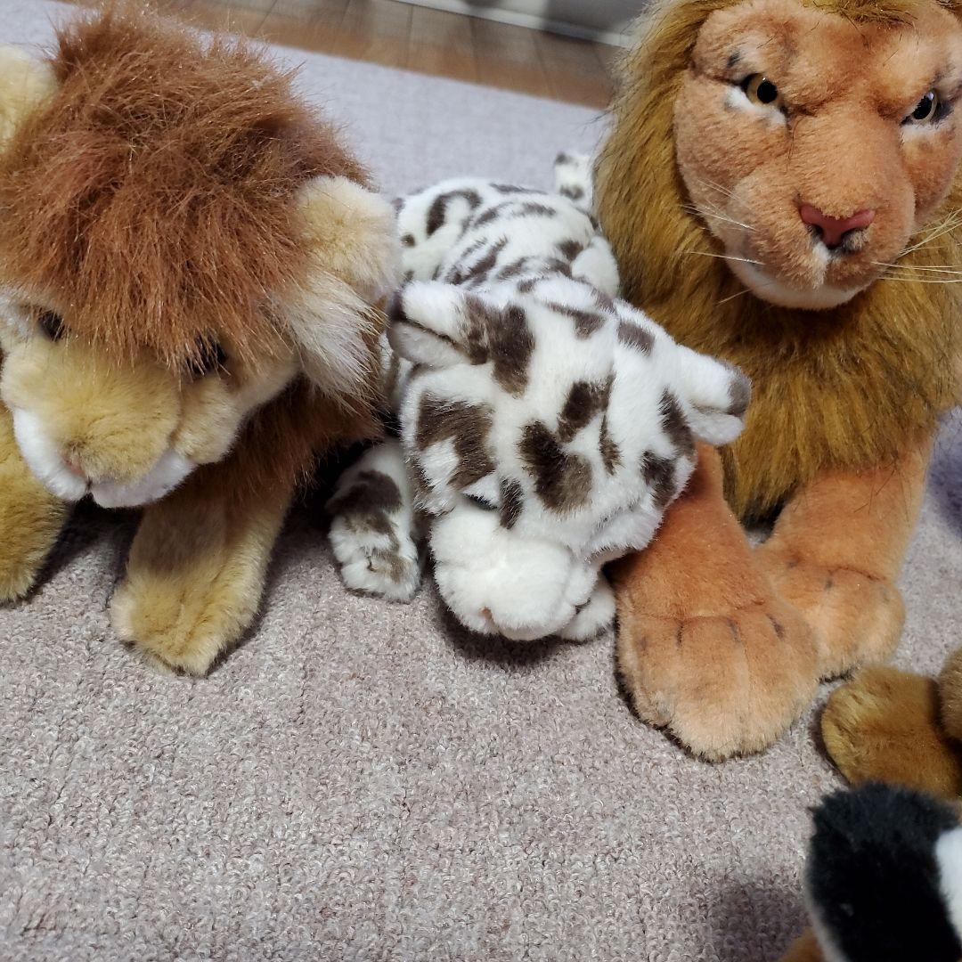 ライオン・トラ・ヒョウ ぬいぐるみセット
