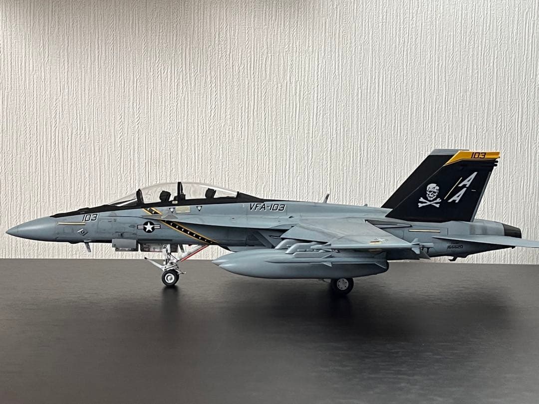 Hasegawa 1/48 F/A-18F SUPER HORNET 完成品