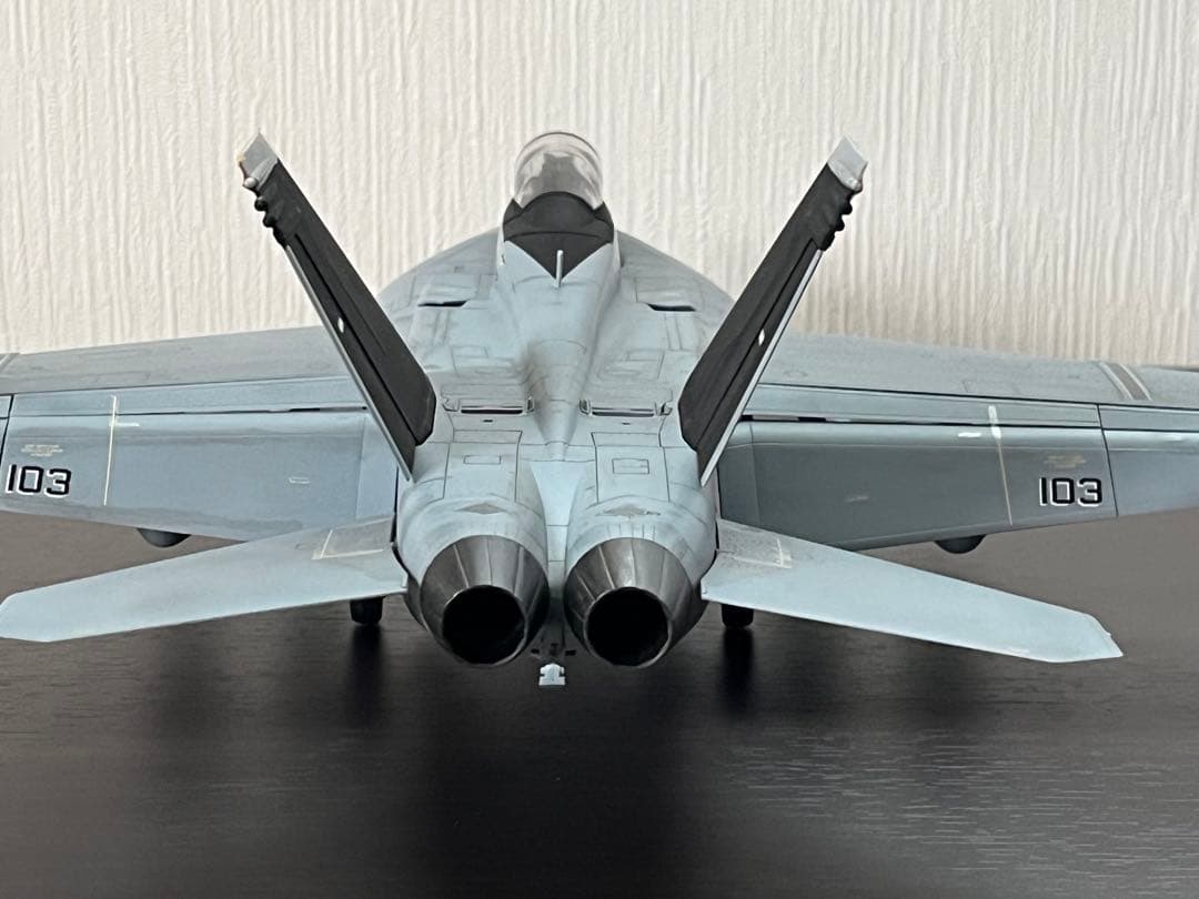 Hasegawa 1/48 F/A-18F SUPER HORNET 完成品
