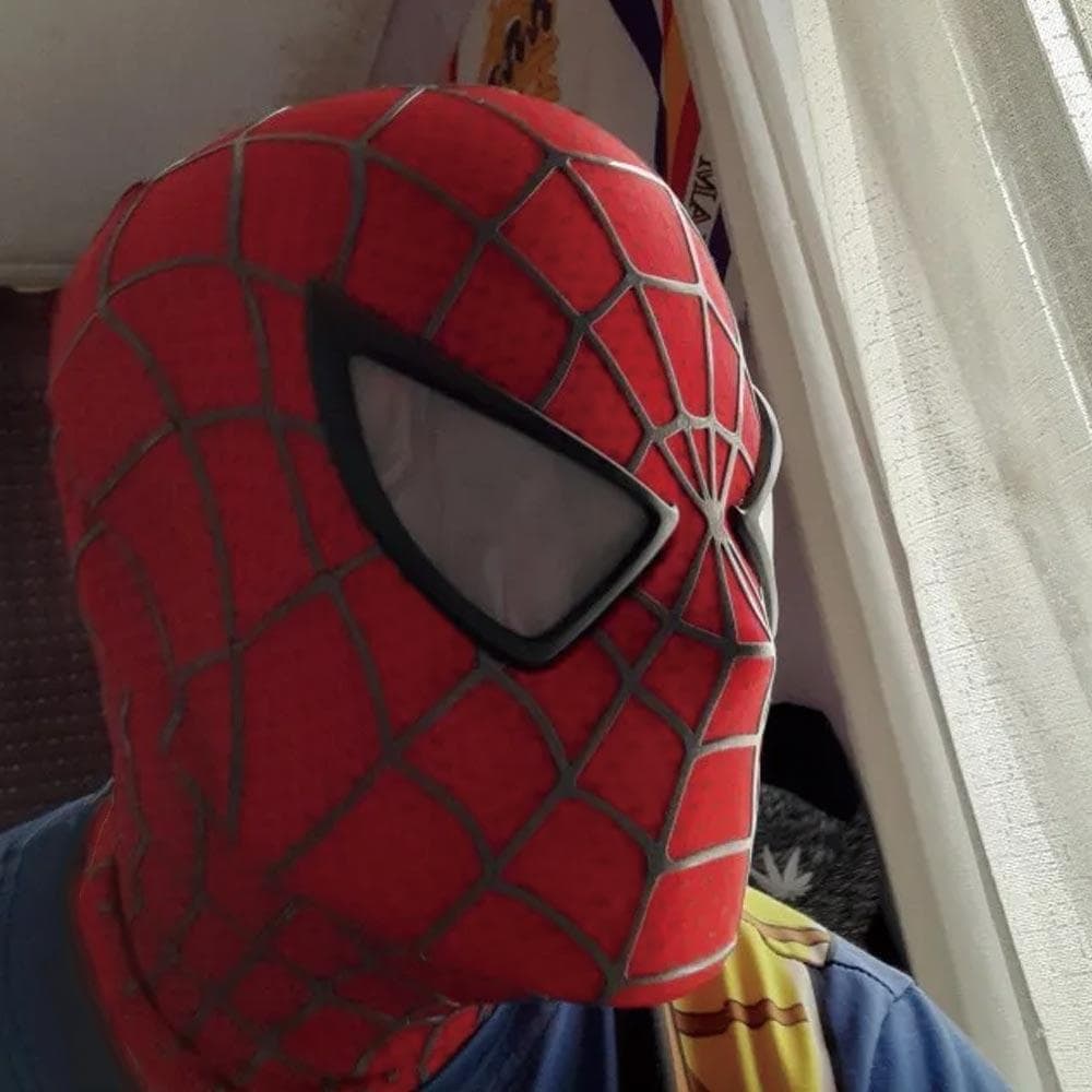スパイダーマン　マスク　　コスプレ　1/1　 3Dシェルマスク　即日発送！