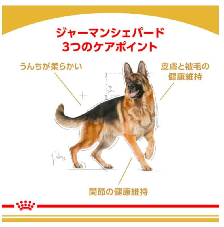 【なおみさん専用】 CANIN ジャーマンシェパード 3kg×2袋