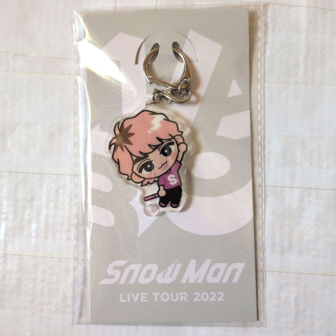 【値下げ中】すのチル　ぶら下がりシリーズ　アクリルキーホルダー　ステッカーセット