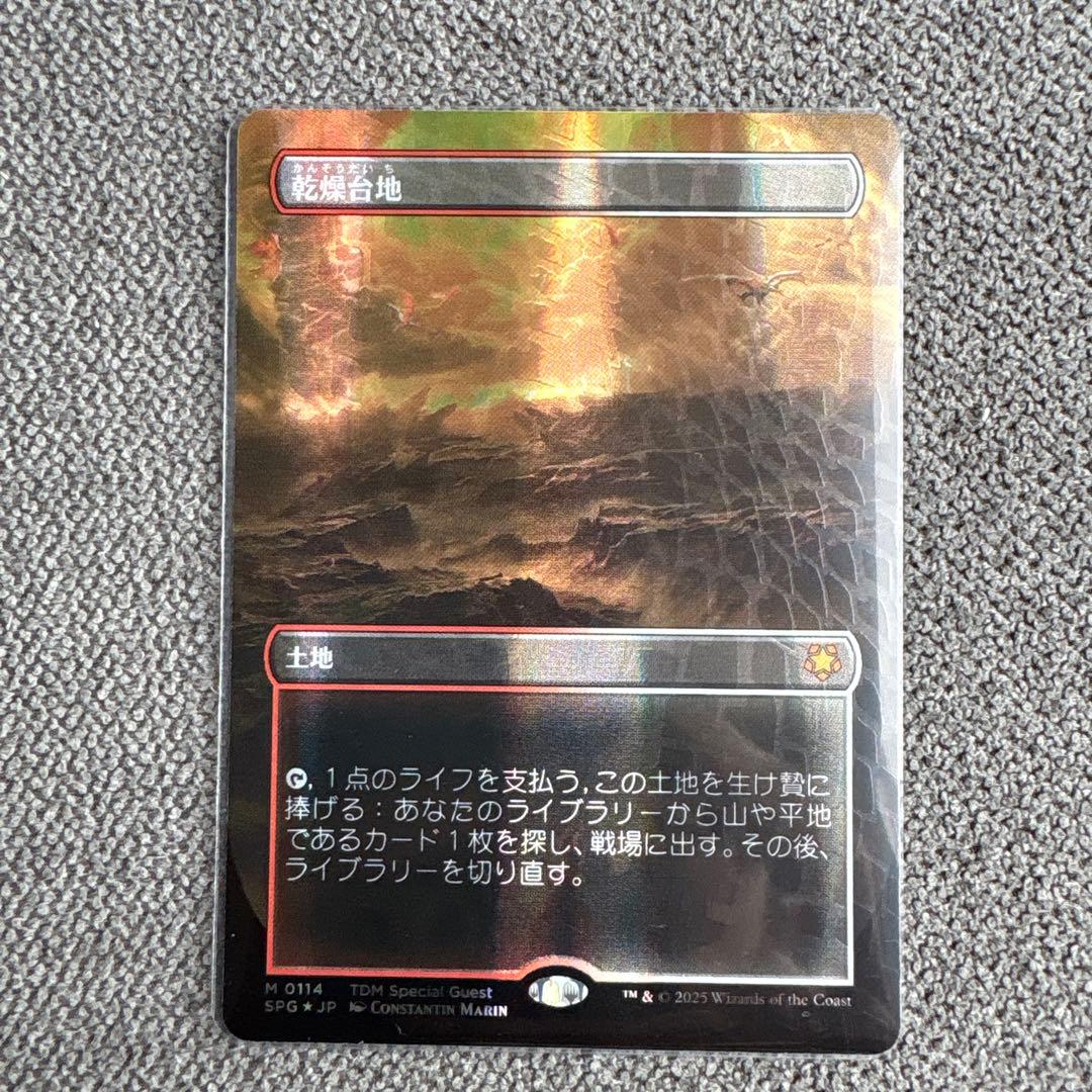 乾燥台地　ドラゴンスケイルfoil