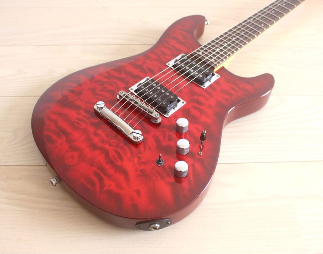 Fernandes APG-65S サスティナー搭載