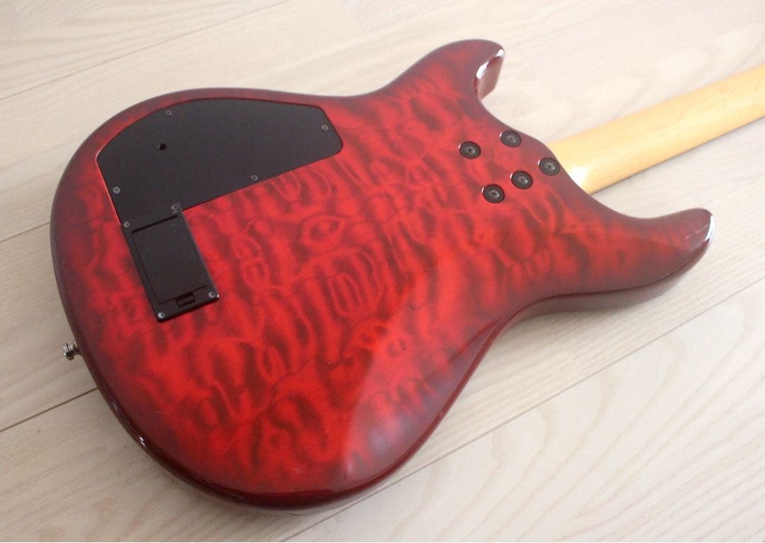 Fernandes APG-65S サスティナー搭載