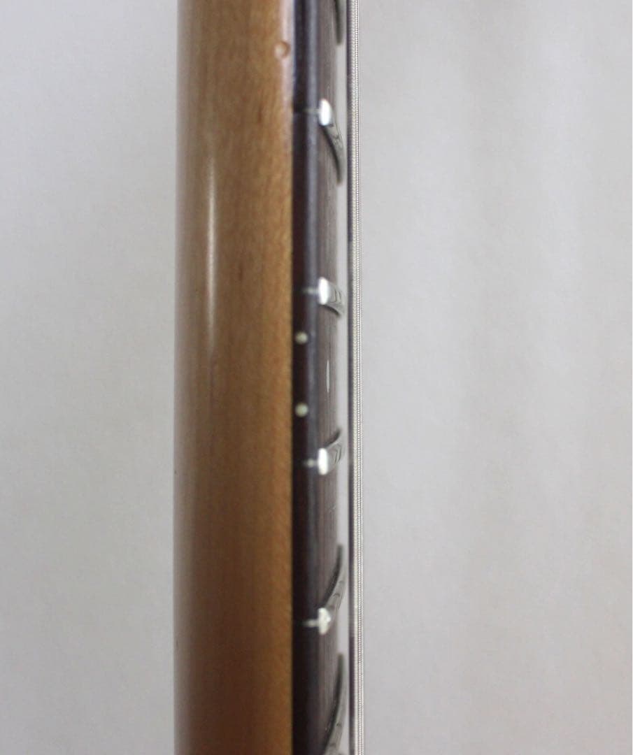 Fernandes APG-65S サスティナー搭載