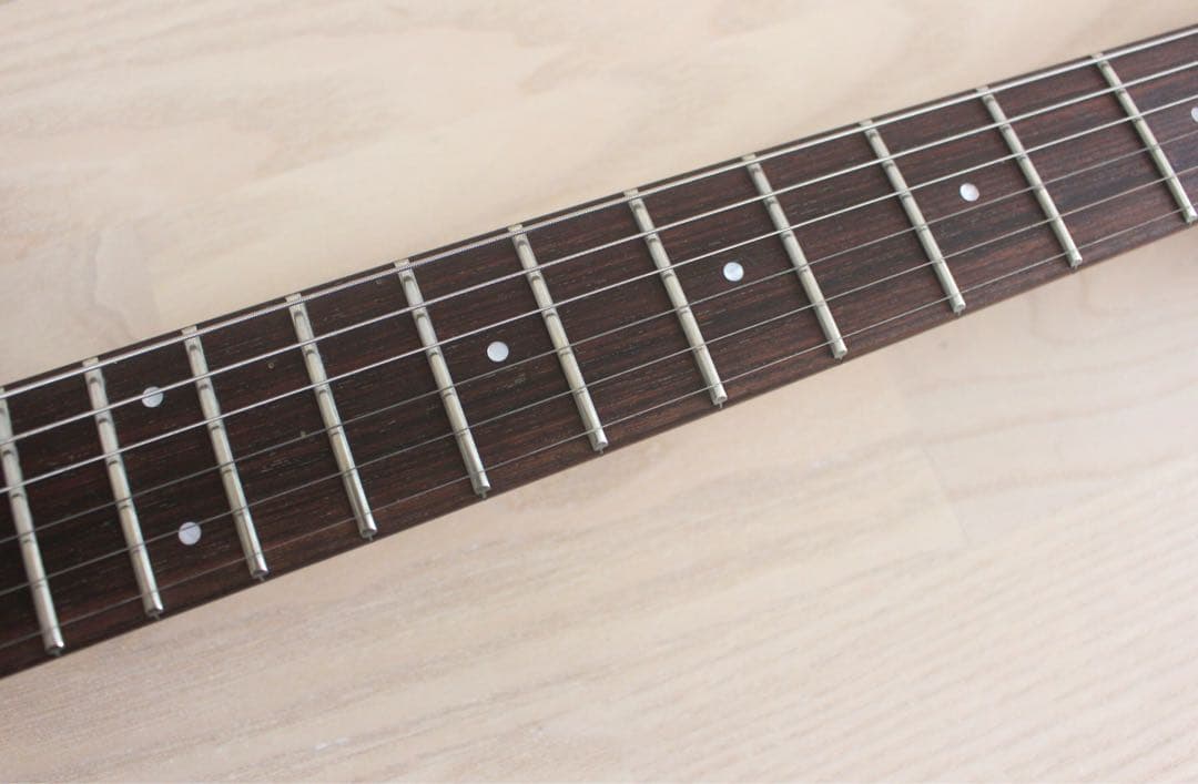 Fernandes APG-65S サスティナー搭載