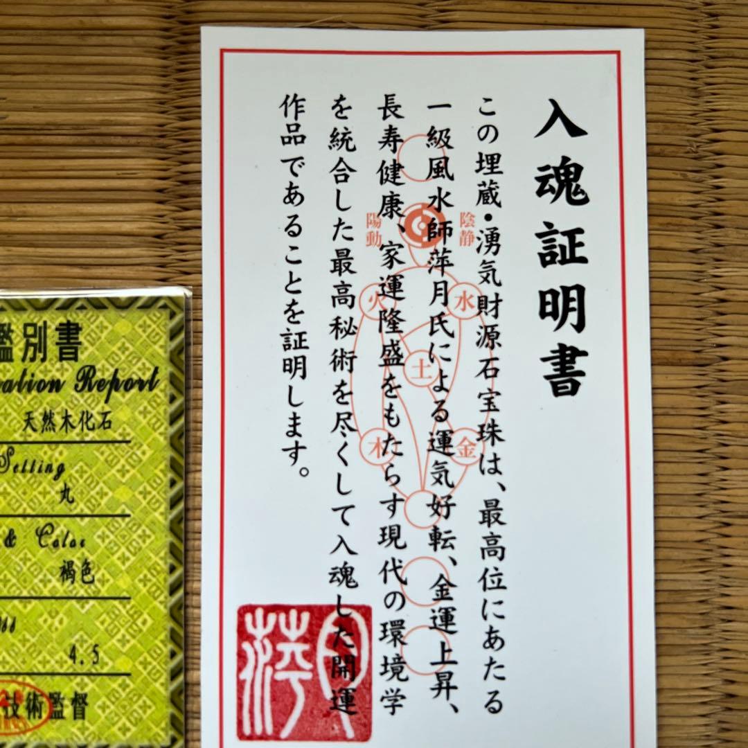 天然化石木 珪化木(けいかぼく) ペトリファイドウッド マダガスカル産 鑑別書